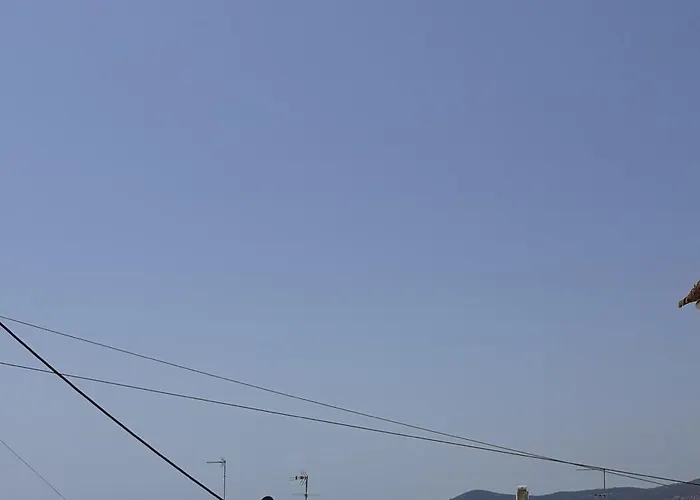 Daire Light And Sea 2